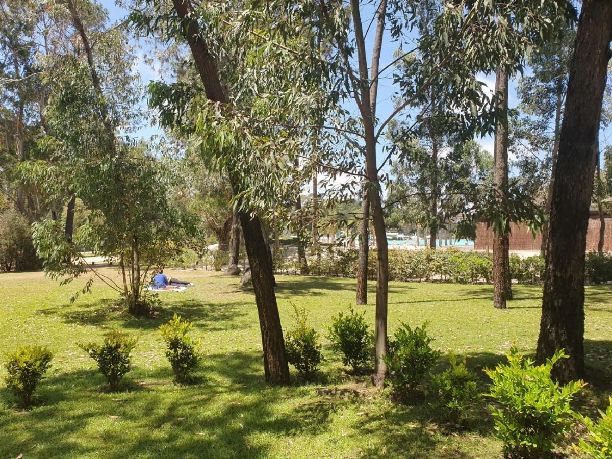 Punta Del Este, Forest Lagoon, Luxury Dış mekan fotoğraf